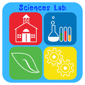 Sciences P4-P6